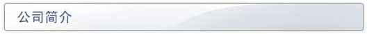 公司简介